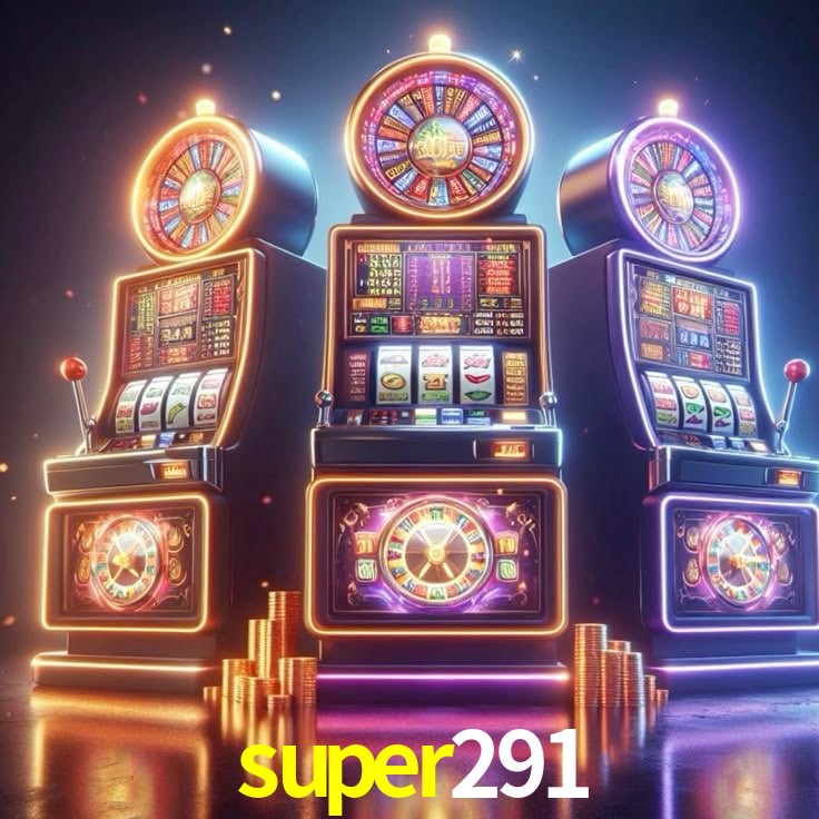 super291 App Interface